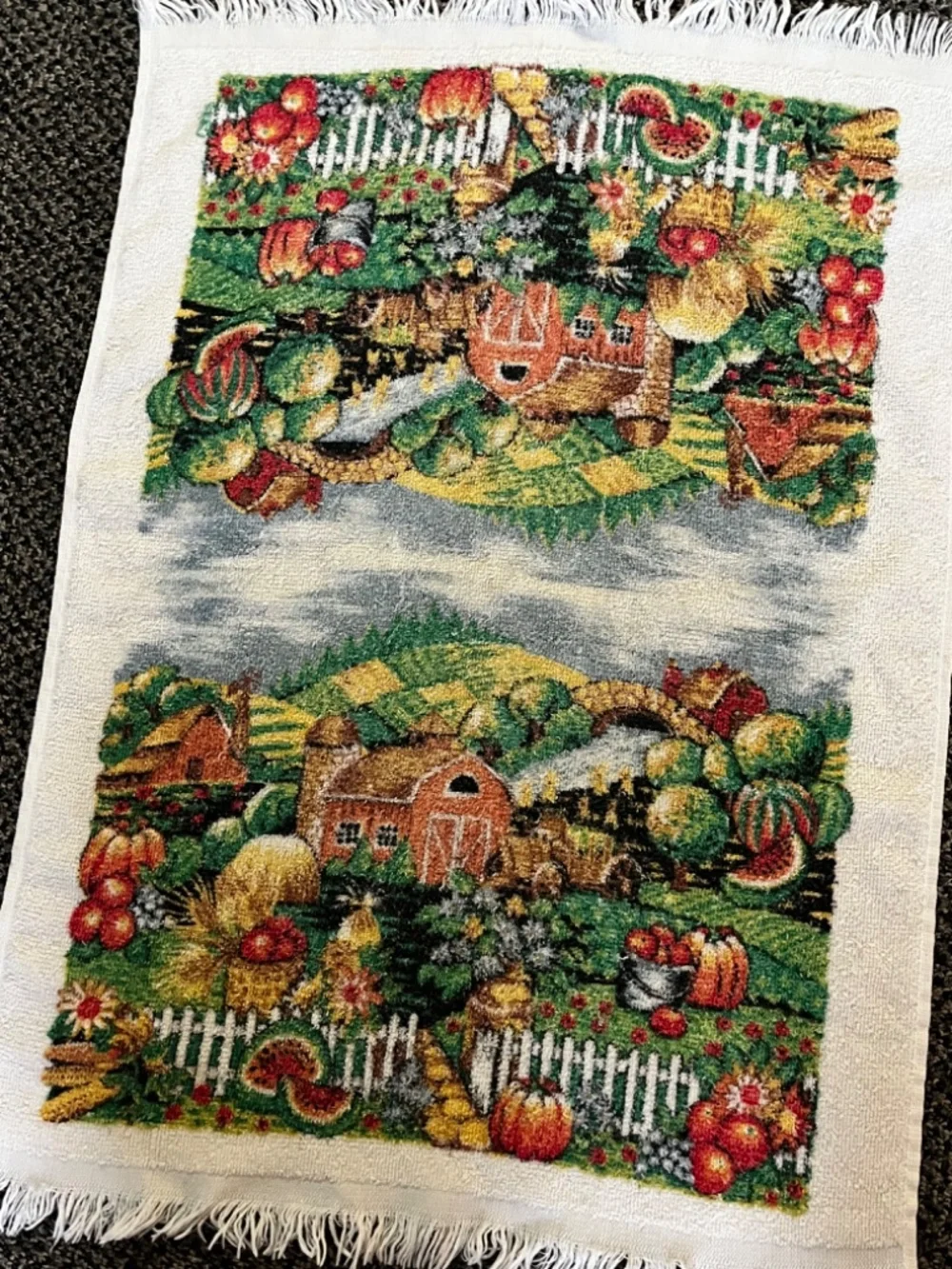 Vintage Hand Towel Kitchen Linen Homestead Farm Cottagecore Fall ART